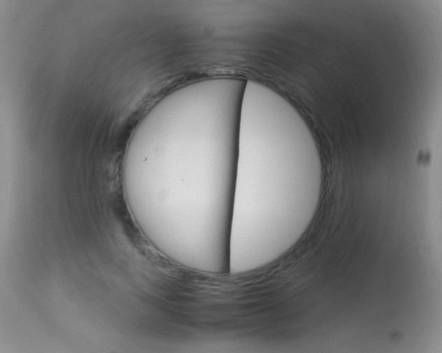 X0000114010743200910020952