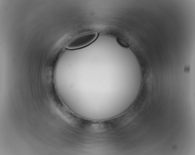 X0000114010744200910020952