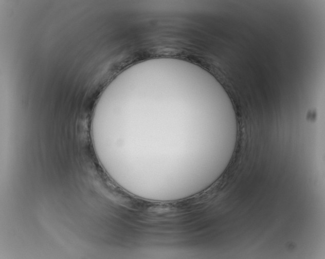 X0000114010745200910020952