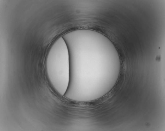 X0000114010746200910020952