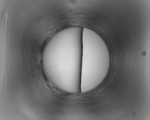 X0000114010747200910020952