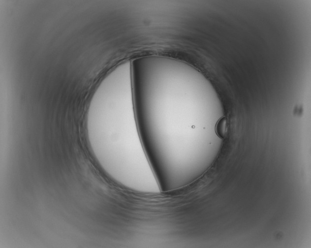 X0000114010750200910020952