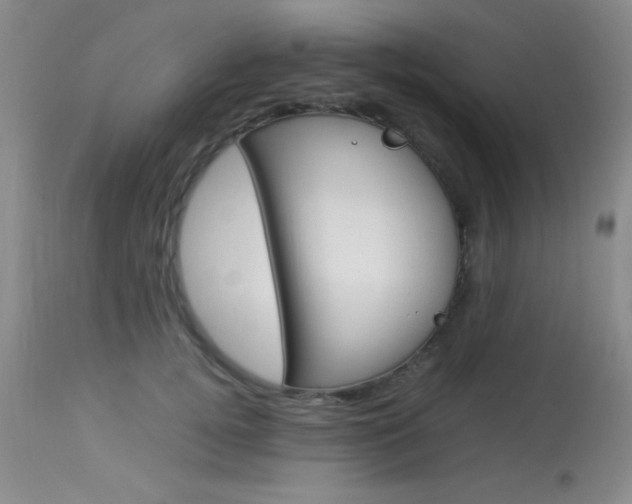 X0000114010752200910020952