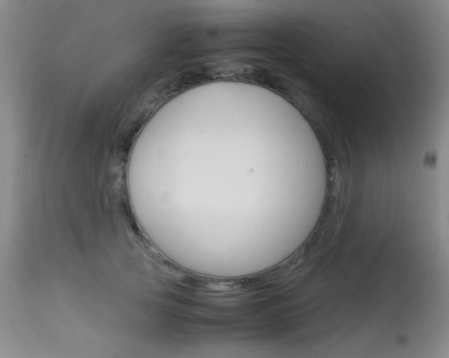 X0000114010753200910020952