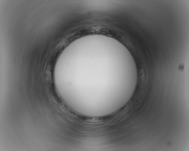 X0000114010754200910020952