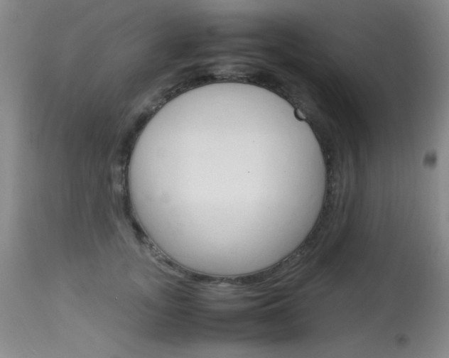 X0000114010755200910020952