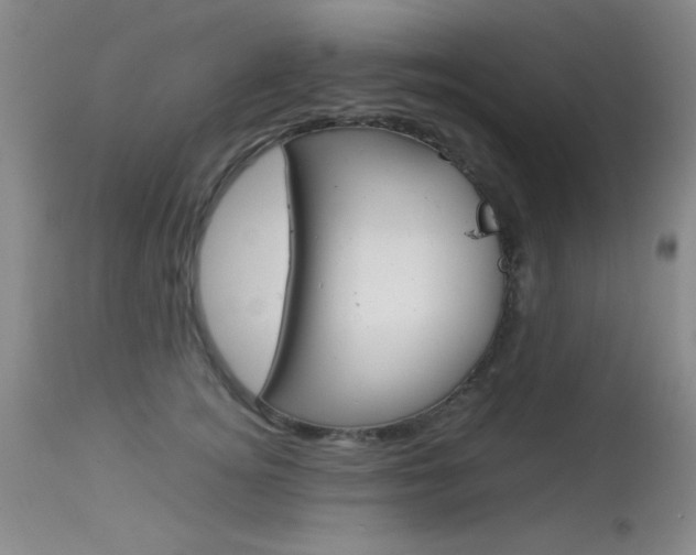 X0000114010756200910020952