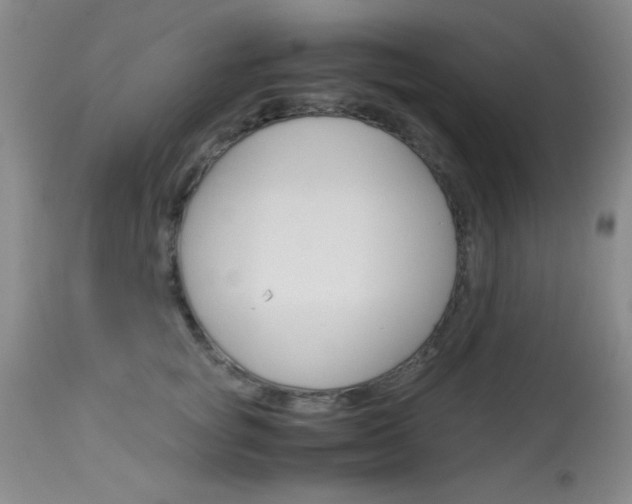 X0000114010757200910020952