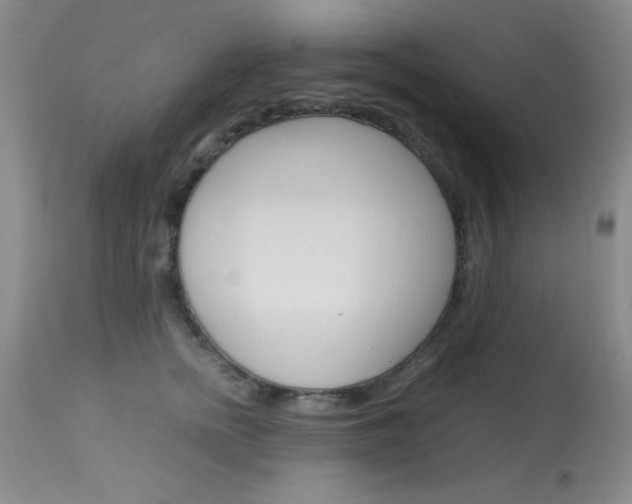 X0000114010758200910020952