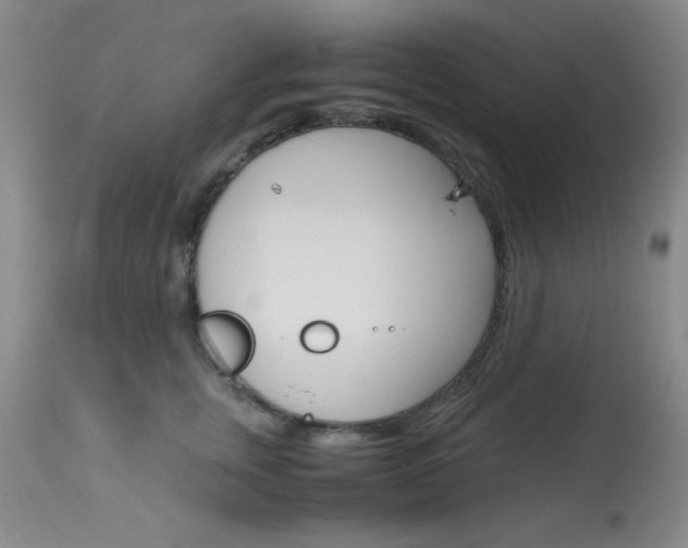 X0000114010759200910020952