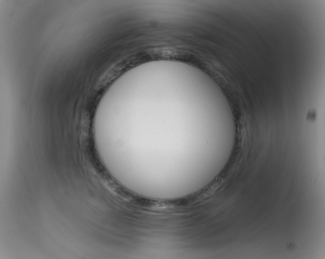 X0000114010760200910020952