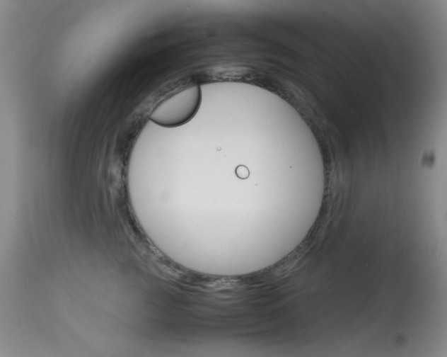 X0000114010761200910020952