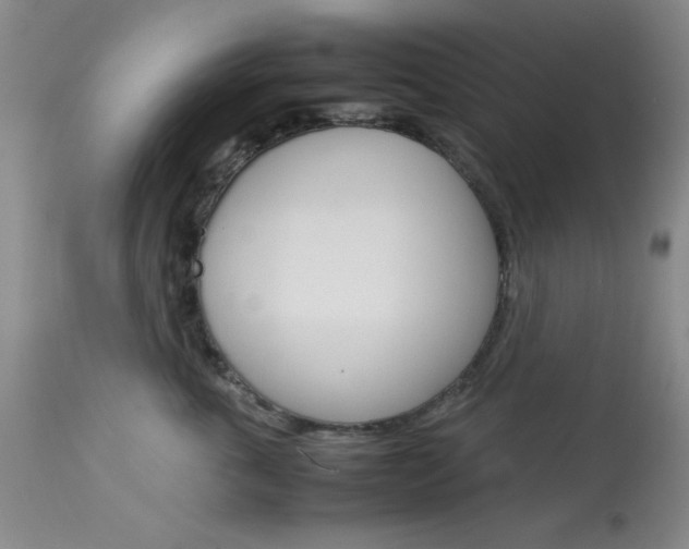 X0000114010763200910020952