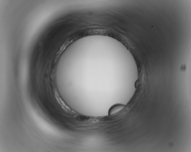 X0000114010764200910020952