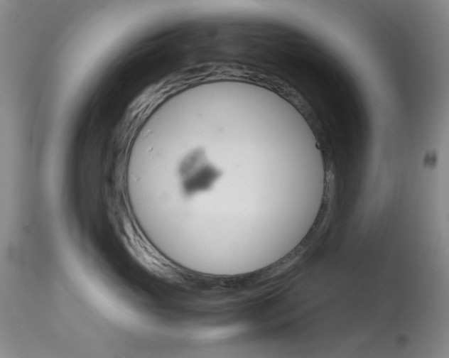 X0000114010765200910020952