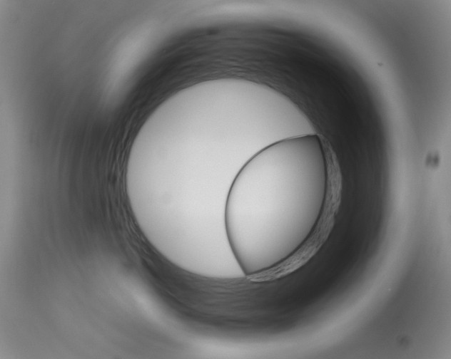 X0000114010766200910020952