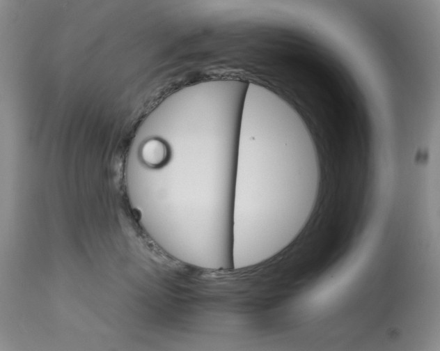 X0000114010767200910020952