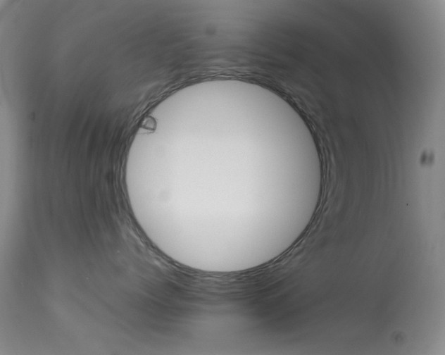 X0000114010768200910020952