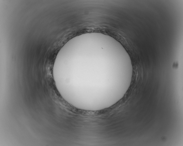 X0000114010770200910020951