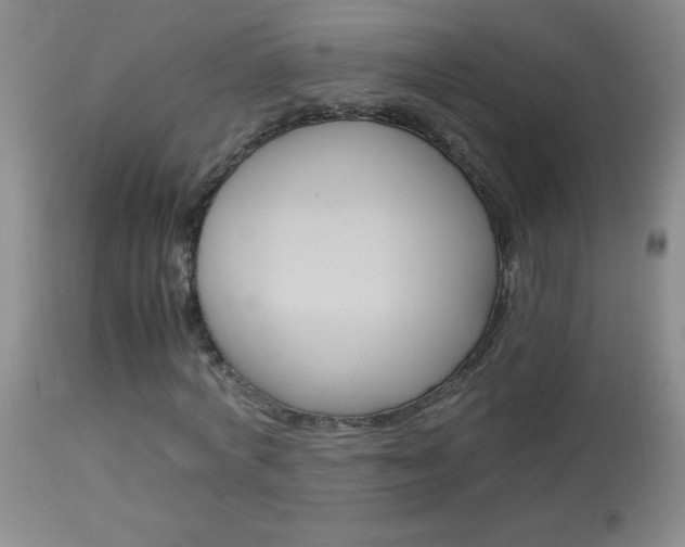 X0000114010772200910020951