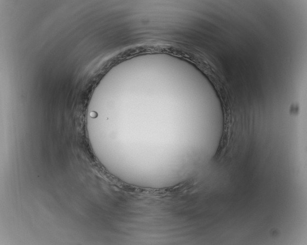 X0000114010773200910020951