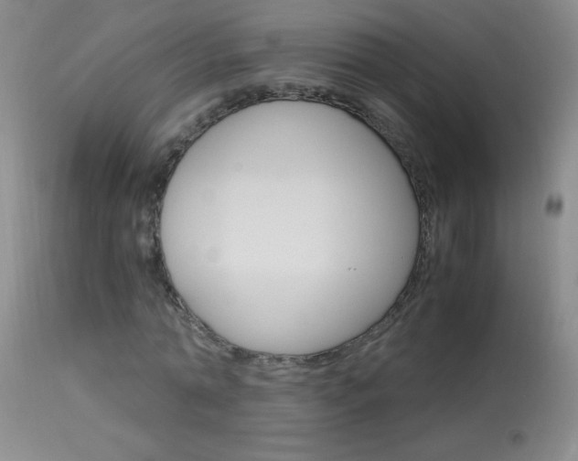 X0000114010774200910020951