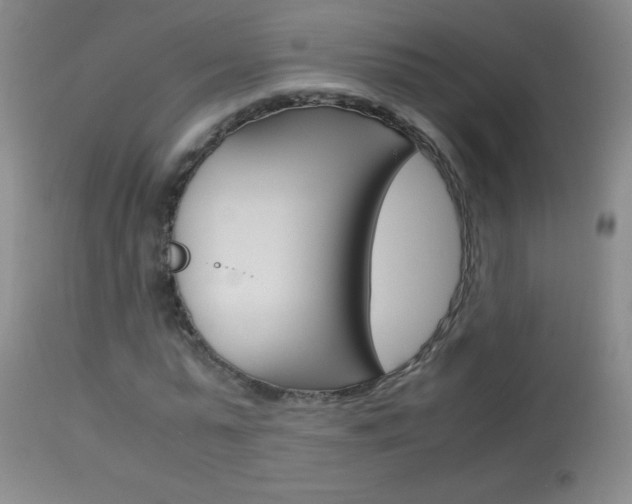 X0000114010775200910020951