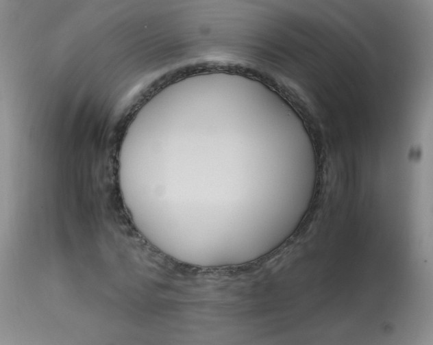 X0000114010776200910020951