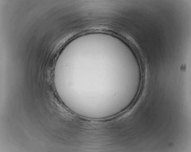X0000114010777200910020951