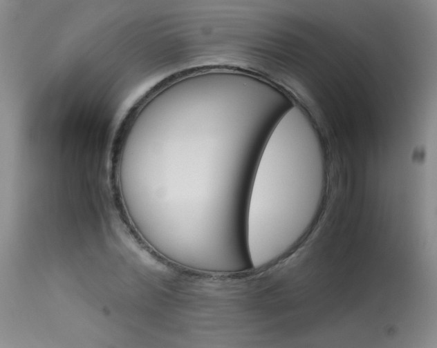 X0000114010780200910020951