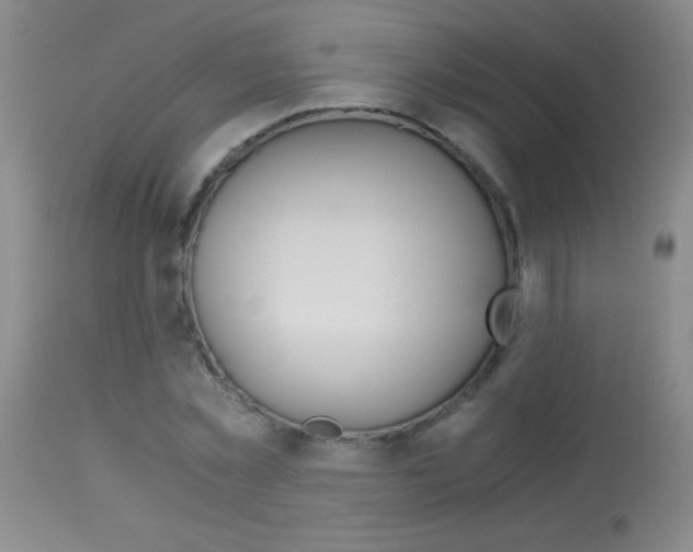 X0000114010781200910020951