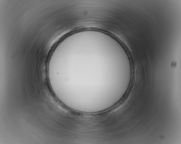 X0000114010782200910020951
