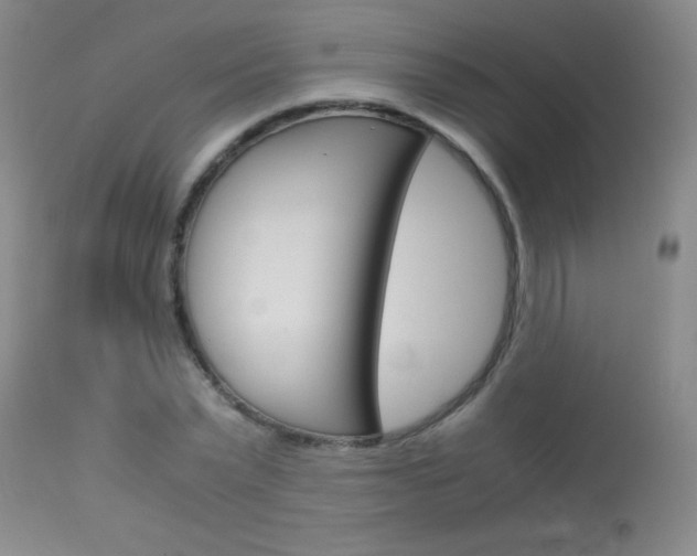 X0000114010783200910020951