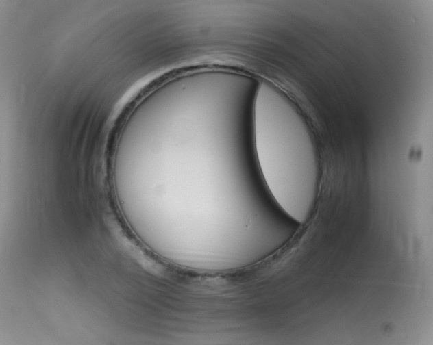 X0000114010784200910020951