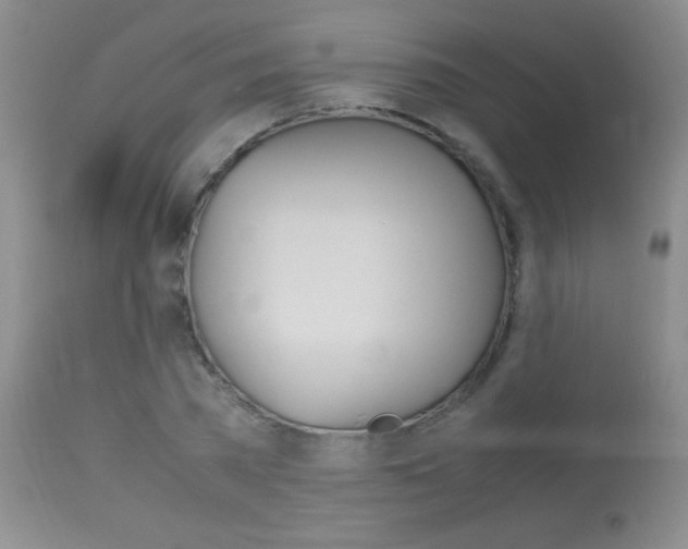 X0000114010785200910020951