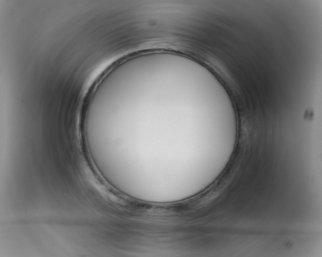 X0000114010788200910020951