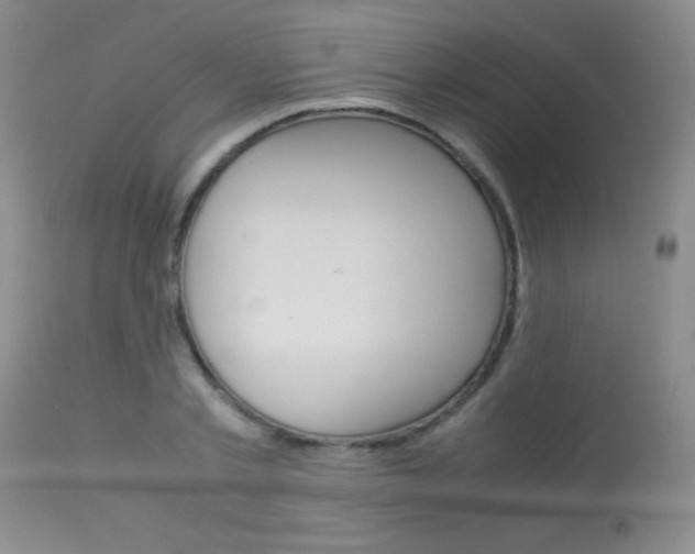 X0000114010789200910020951