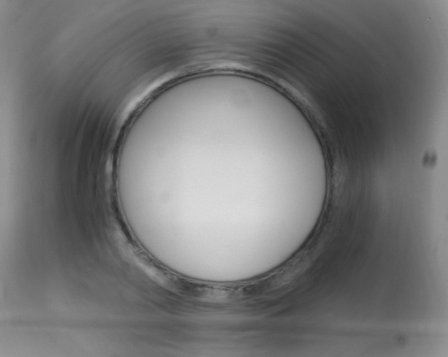 X0000114010790200910020951
