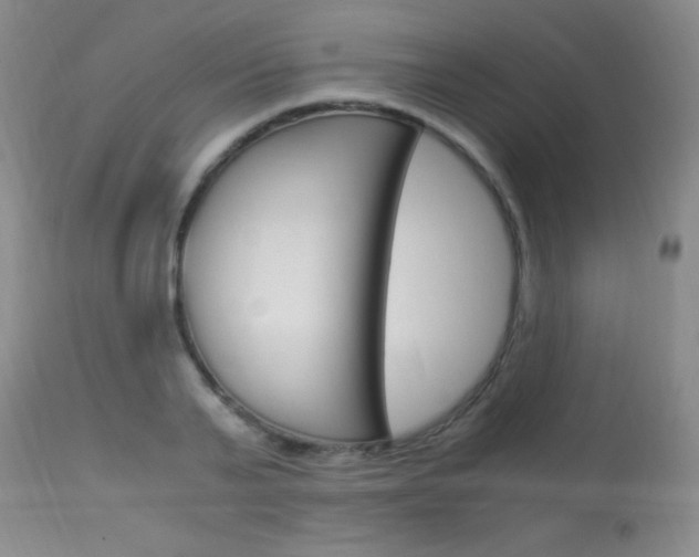 X0000114010791200910020951