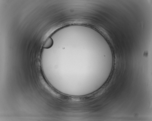 X0000114010794200910020951
