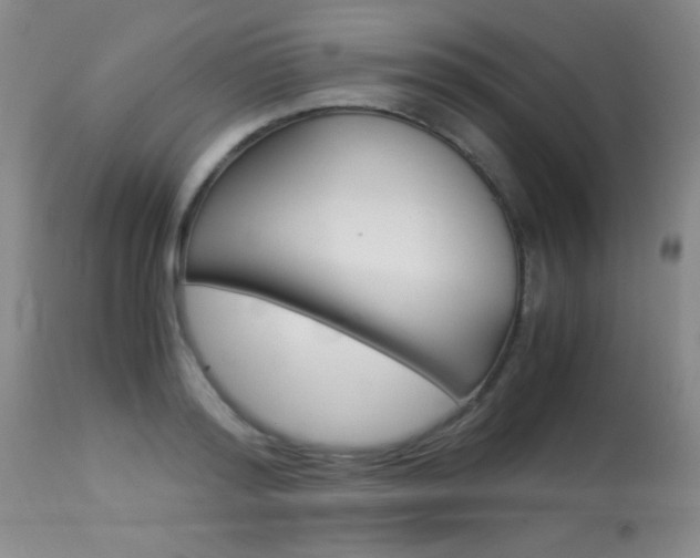 X0000114010796200910020951