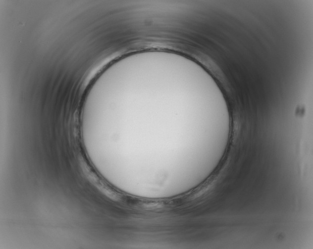 X0000114010798200910020951