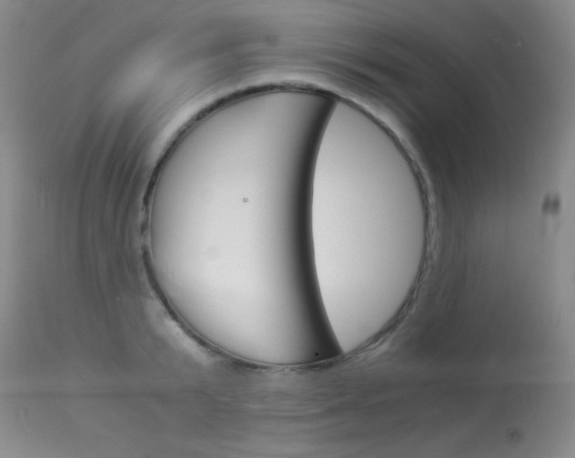 X0000114010799200910020951