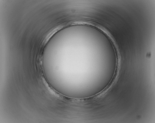 X0000114010809200910020951