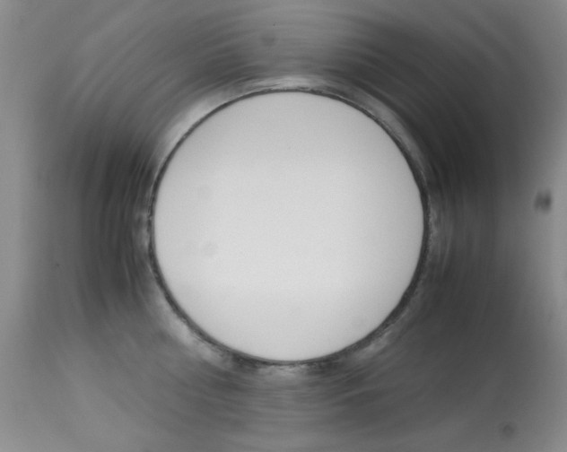X0000114010810200910020951