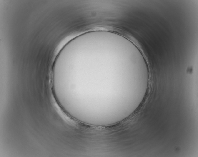 X0000114010811200910020951
