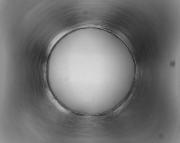 X0000114010812200910020951