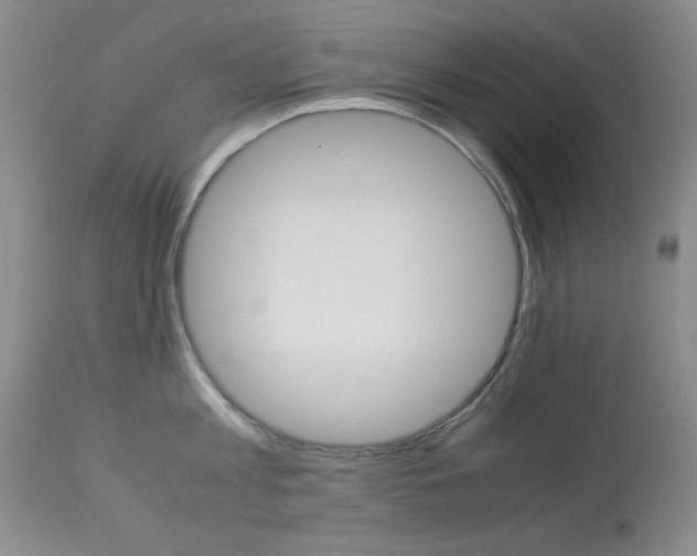 X0000114010813200910020951
