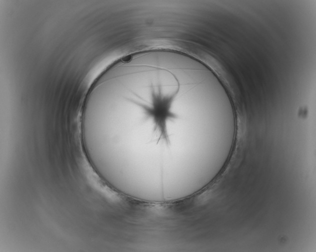 X0000114010814200910020951