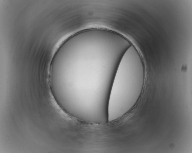 X0000114010815200910020951
